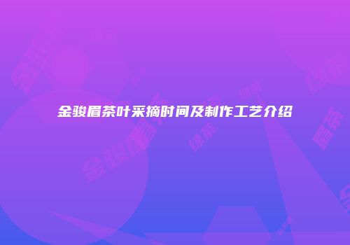 金骏眉茶叶采摘时间及制作工艺介绍