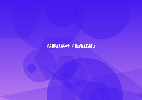 歙县好茶叶「歙州红茶」