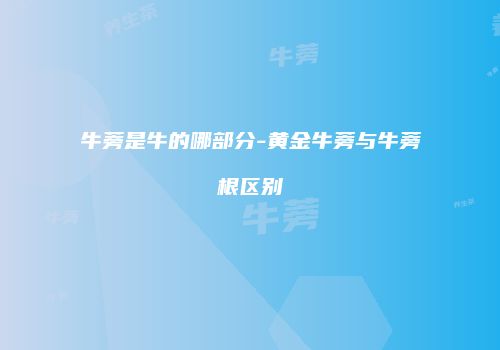 牛蒡是牛的哪部分-黄金牛蒡与牛蒡根区别
