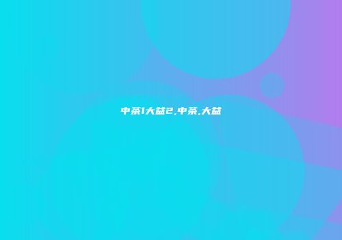 中茶1大益2,中茶,大益