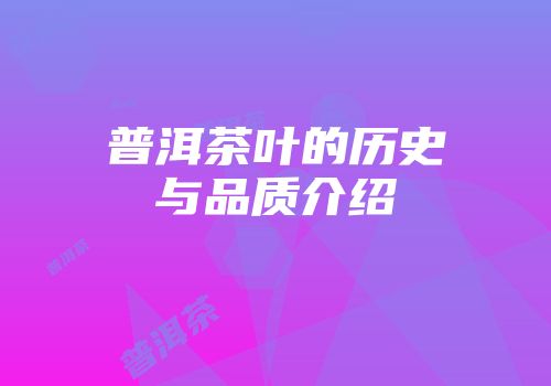 普洱茶叶的历史与品质介绍