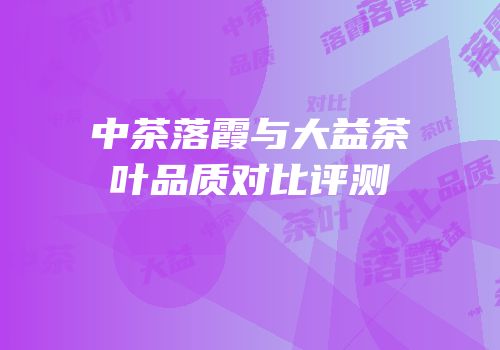中茶落霞与大益茶叶品质对比评测