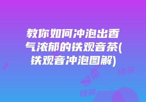 教你如何冲泡出香气浓郁的铁观音茶(铁观音冲泡图解)