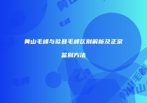 黄山毛峰与歙县毛峰区别解析及正宗鉴别方法