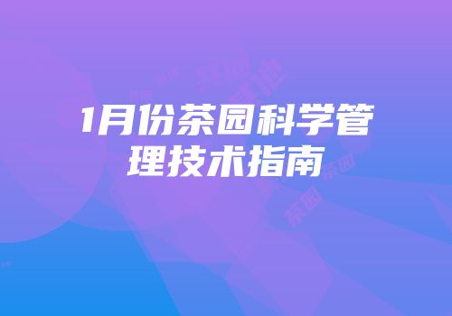 1月份茶园科学管理技术指南