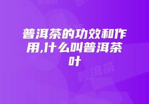 普洱茶的功效和作用,什么叫普洱茶叶
