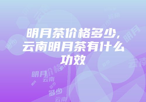 明月茶价格多少,云南明月茶有什么功效