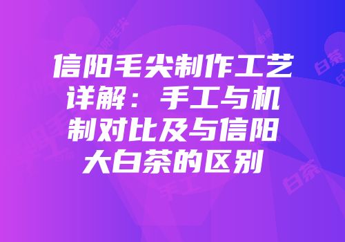 信阳毛尖制作工艺详解：手工与机制对比及与信阳大白茶的区别