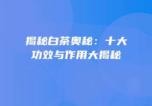 揭秘白茶奥秘：十大功效与作用大揭秘
