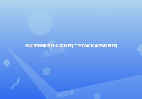 紫泥紫砂壶泡什么茶最好(二三百能买真紫砂壶吗)