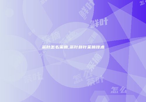 茶叶怎么采摘,茶叶鲜叶采摘技术