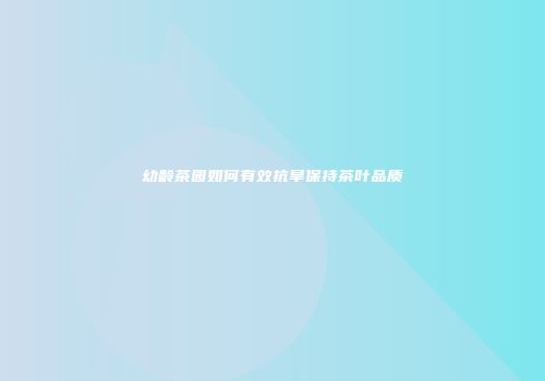幼龄茶园如何有效抗旱保持茶叶品质