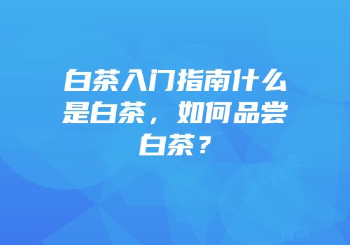 白茶入门指南什么是白茶，如何品尝白茶？