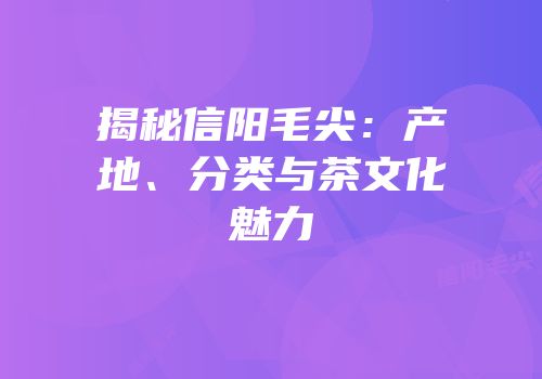 揭秘信阳毛尖：产地、分类与茶文化魅力