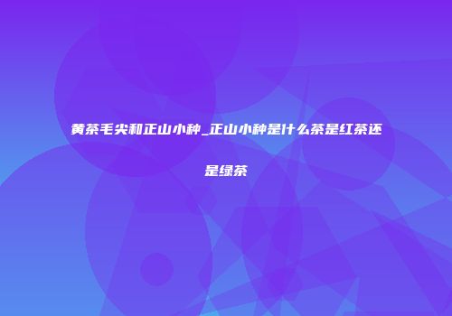 黄茶毛尖和正山小种_正山小种是什么茶是红茶还是绿茶