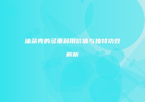 油茶壳的多重利用价值与独特功效解析