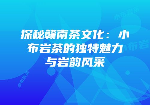 探秘赣南茶文化：小布岩茶的独特魅力与岩韵风采