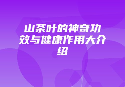 山茶叶的神奇功效与健康作用大介绍