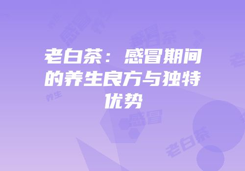 老白茶：感冒期间的养生良方与独特优势