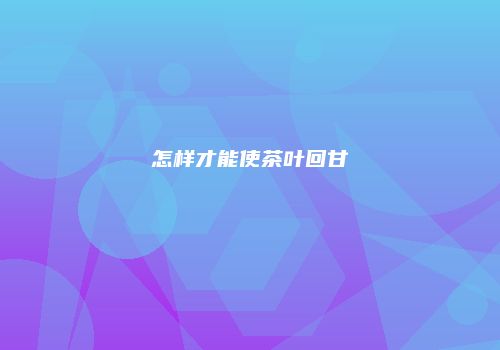 怎样才能使茶叶回甘