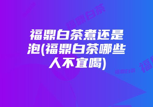 福鼎白茶煮还是泡(福鼎白茶哪些人不宜喝)