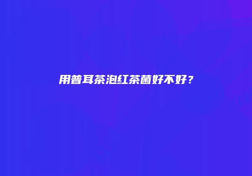 用普耳茶泡红茶菌好不好？