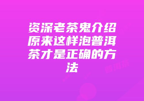 资深老茶鬼介绍原来这样泡普洱茶才是正确的方法