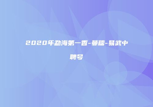 2020年勐海第一香-曼糯-易武中聘号