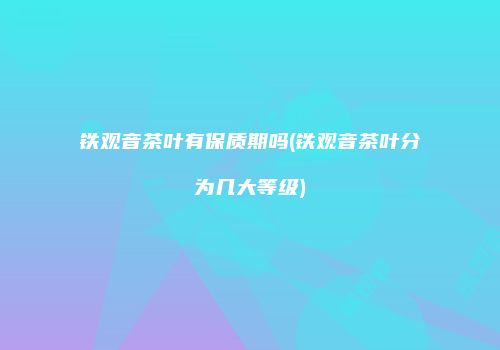铁观音茶叶有保质期吗(铁观音茶叶分为几大等级)