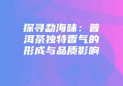 探寻勐海味：普洱茶独特香气的形成与品质影响