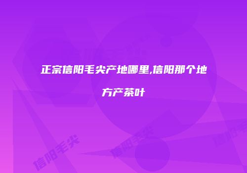 正宗信阳毛尖产地哪里,信阳那个地方产茶叶