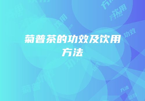 菊普茶的功效及饮用方法