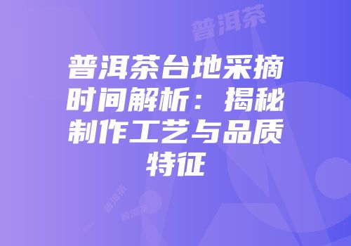 普洱茶台地采摘时间解析：揭秘制作工艺与品质特征