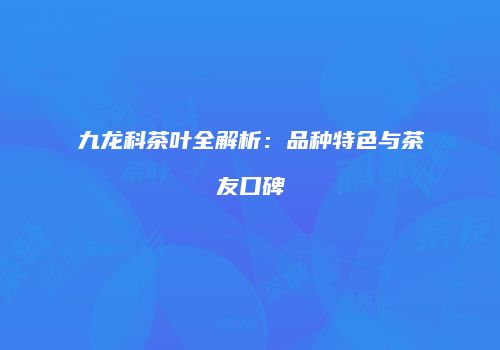 九龙科茶叶全解析：品种特色与茶友口碑