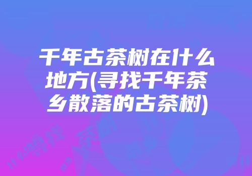 千年古茶树在什么地方(寻找千年茶乡散落的古茶树)
