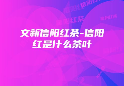 文新信阳红茶-信阳红是什么茶叶