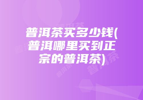 普洱茶买多少钱(普洱哪里买到正宗的普洱茶)