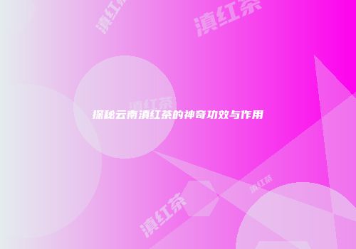 探秘云南滇红茶的神奇功效与作用