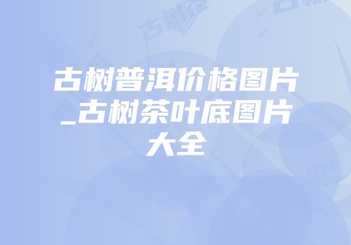 古树普洱价格图片_古树茶叶底图片大全