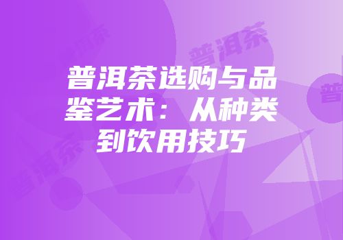 普洱茶选购与品鉴艺术：从种类到饮用技巧