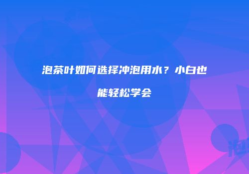泡茶叶如何选择冲泡用水？小白也能轻松学会