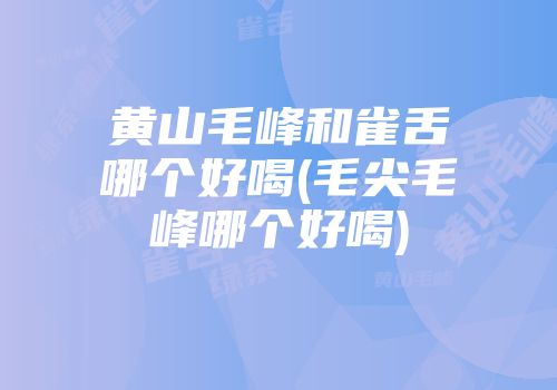 黄山毛峰和雀舌哪个好喝(毛尖毛峰哪个好喝)