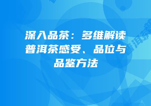 深入品茶：多维解读普洱茶感受、品位与品鉴方法