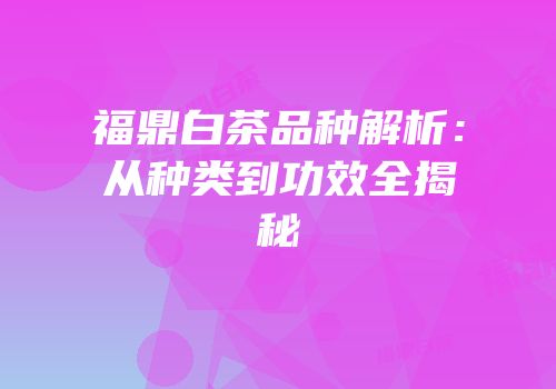 福鼎白茶品种解析：从种类到功效全揭秘