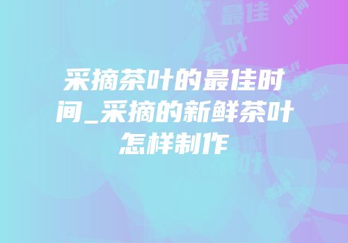 采摘茶叶的最佳时间_采摘的新鲜茶叶怎样制作