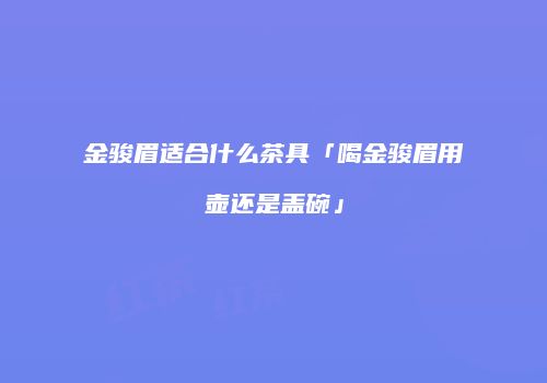 金骏眉适合什么茶具「喝金骏眉用壶还是盖碗」