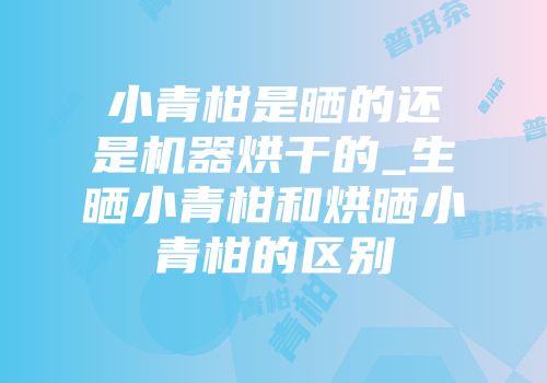 小青柑是晒的还是机器烘干的_生晒小青柑和烘晒小青柑的区别