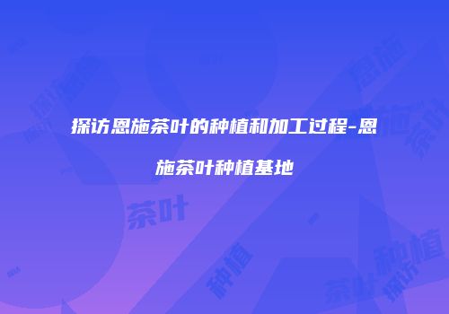 探访恩施茶叶的种植和加工过程-恩施茶叶种植基地