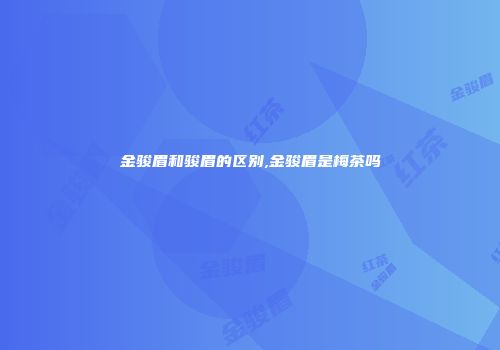 金骏眉和骏眉的区别,金骏眉是梅茶吗