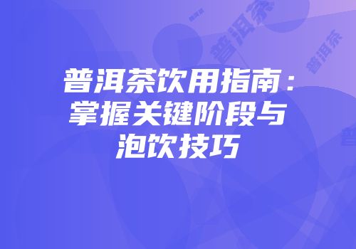 普洱茶饮用指南：掌握关键阶段与泡饮技巧